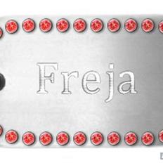 Amerikansk staffordshire terrier Freja