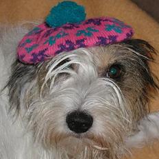 Blanding af racer MOLLIE