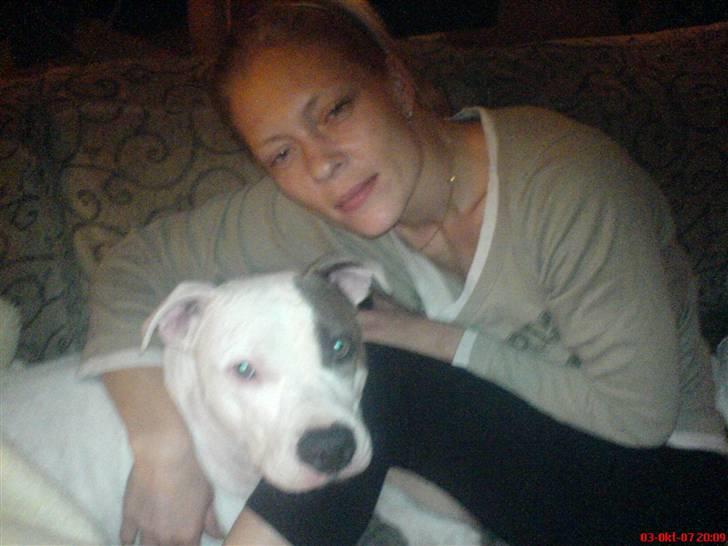 Amerikansk staffordshire terrier Diego R.I.P. - os 2 sammen....    miiiin Diego...   miiin moar billede 10