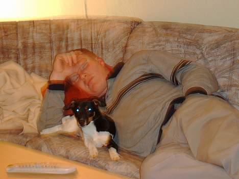 Dansk svensk gaardhund Fie <3 *DØD* :'(  - ligger ligeved min far.. og hans kæreste skal i hvert fald ikke prøve at nerme sig !!  billede 9