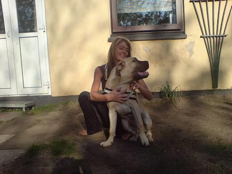 Bullmastiff Bufas - mig og mor... billede 13