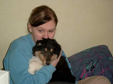 Collie langhåret Simba - sov sødt min skat! - Mig og mor da jeg var baby billede 6