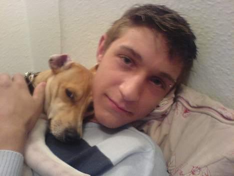 Dansk svensk gaardhund Futte - Futte elsker at ligge i sin "far" arme og sove .. Prøv og se hvor træt Futte ser ud .. hehe billede 11