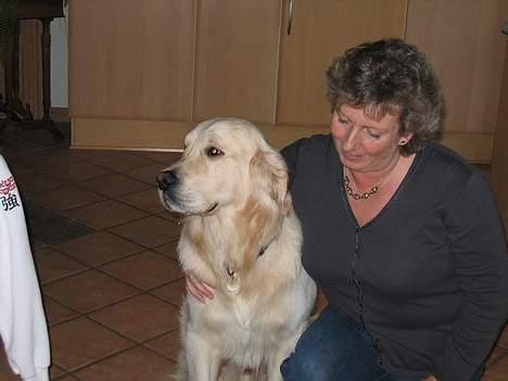 Golden retriever SOFUS - HER ER HAN SAMMEN MED MOR  billede 3