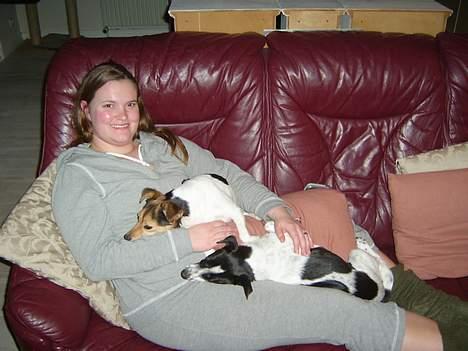 Dansk svensk gaardhund Misty - Søndagshygge med begge mine mødre =) - feb. 2007 billede 10