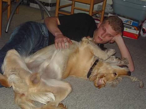 Golden retriever Tantor - Er god til at lege og slappe af på én gang :P billede 6