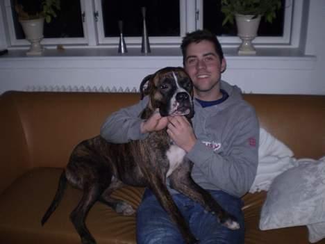 Blanding af racer Oscar  R.I.P. - Putter med far...:o) billede 17