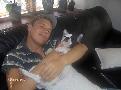 Fransk bulldog Raz - Så putter mig og far igen igen igen.... :) billede 14