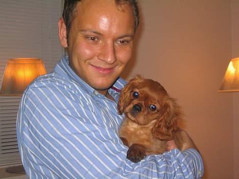 Cavalier king charles spaniel Lotus billede 4