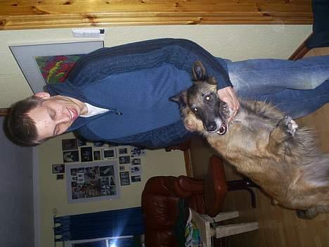 Belgisk hyrdehund Centa - R.I.P. billede 10