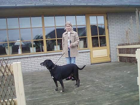 Blanding af racer Chevy - jeg står lige og kikker billede 6