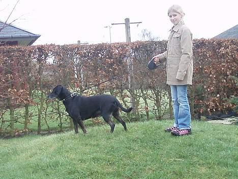 Blanding af racer Chevy - jeg står lige foto model billede 8