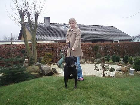 Blanding af racer Chevy - hej med jer billede 12