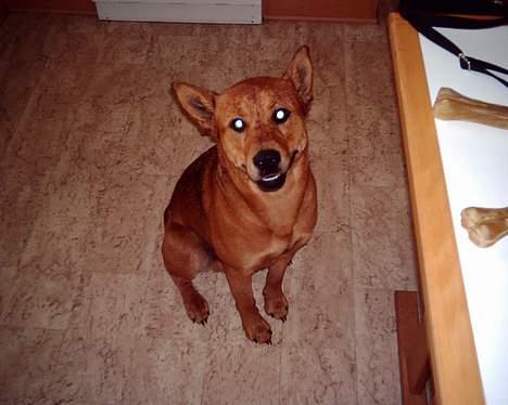 Blanding af racer thor - elsker vand(så længe det ikke kommer fra himlen), så våd bliver man jo af og til.  billede 4