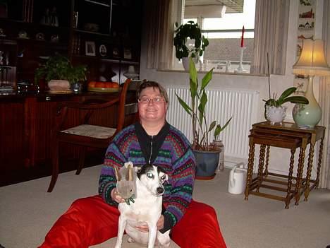 Blanding af racer Molly(DØD) - Diana sidder med Molly´s kanin i favnen for at prøve fange Molly´s opmærksomhed billede 17