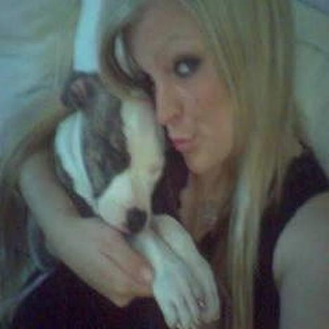 Amerikansk staffordshire terrier Molly billede 2