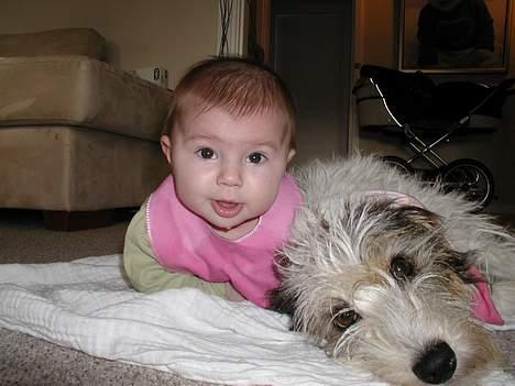 Blanding af racer MOLLIE - Ja, moster er jeg også... til lille Jealelou her..... feb07 billede 2