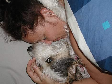 Blanding af racer MOLLIE - Mor og jeg råhygger.... hunde i sengen er noget gris syntes vi.... men hold op det er for dejligt at ligge i arm med hinanden.... så vi vasker extra tit... billede 12