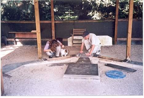 Jack russell terrier Mick R.I.P. 12. juni 2007 - Mick på gravtræning aller første gang billede 15