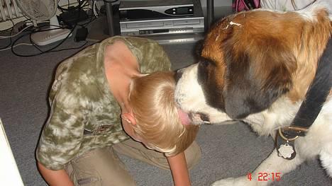 Sankt bernhardshund Daisy - Der har lige været flødebollekamp og Daisy er ved at vaske min søn billede 5