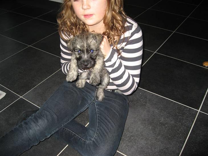 {{currentPhoto.altText}} billede {{currentPhoto.number}}