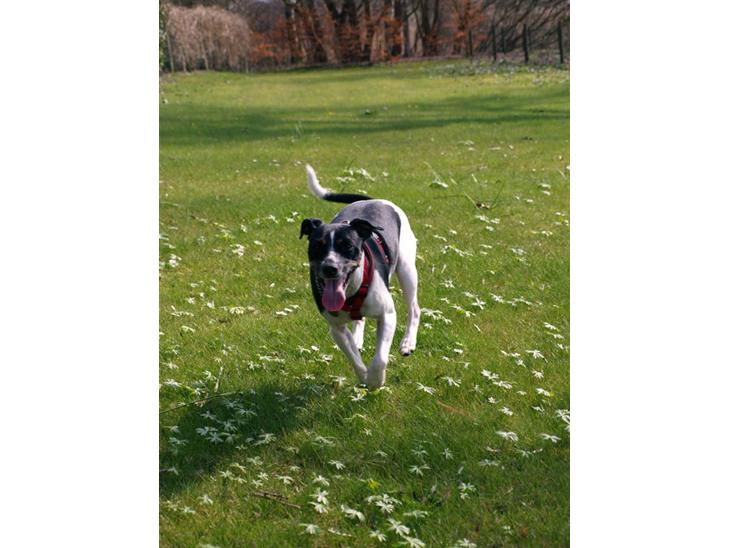 {{currentPhoto.altText}} billede {{currentPhoto.number}}