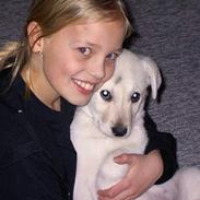 Blanding af racer Blondie