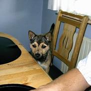 Blanding af racer Max