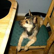 Blanding af racer Max