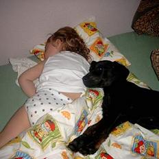 Blanding af racer Rollo (død)