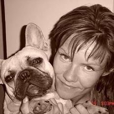 Fransk bulldog Albert (Himmelhund)