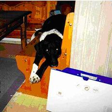 Blanding af racer King