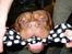 Dogue de bordeaux Frede 2001 - 2007