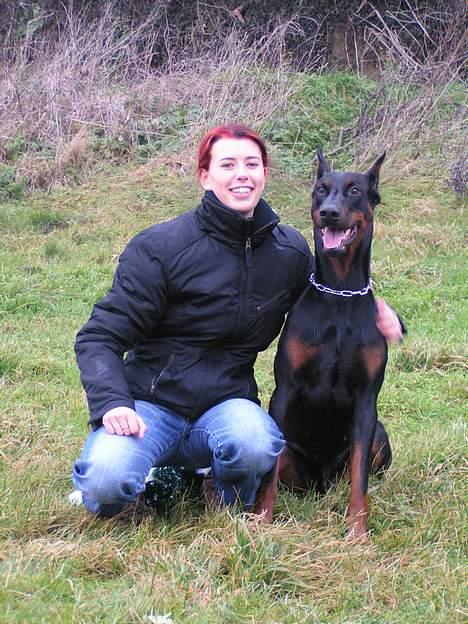 Dobermann Nashville Boy billede 6