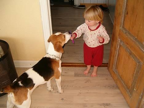 Blanding af racer Xanthos - Nu er jeg ved at få børstet tænder af den lille pige. Hun brugte sin egen :-) billede 5