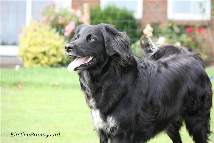 Blanding af racer Nemo - Min smukke, smukke baby.. Jeg elsker dig - du er mit et og alt. billede 1