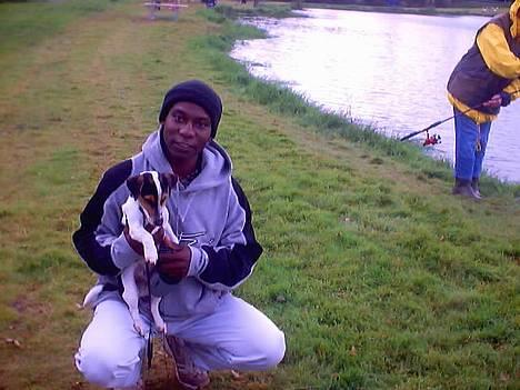 Jack russell terrier SPOT - Første gang på stranden billede 5