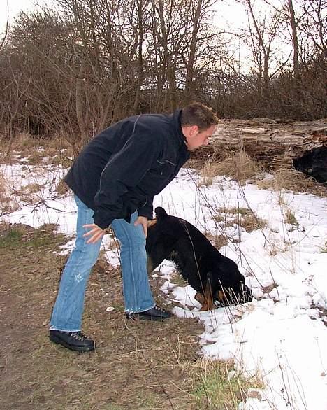 Rottweiler Budda billede 9