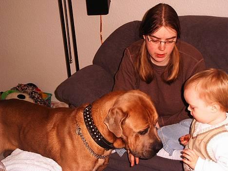 Cane corso Hunter Ro-Ka-Te (joy) - Mums hun står med en guffer.... billede 3