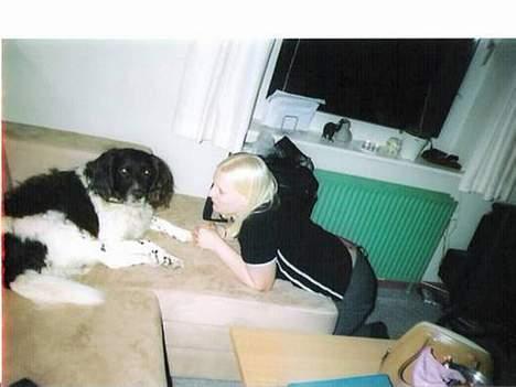 Kleiner münsterländer Nikki (Død)  - Mig og mor. Jeg elsker at få opmærksomhed hi hi... billede 10