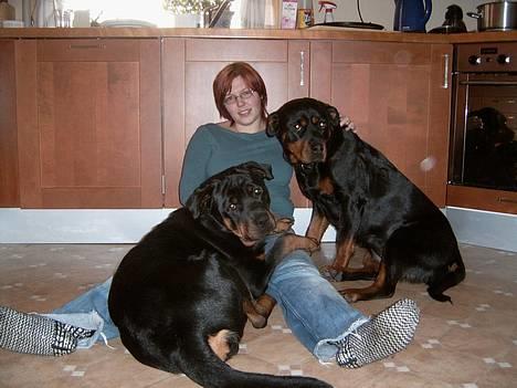 Rottweiler Rocky - Hyggetid med mor..... Zitara, er også altid klar billede 2