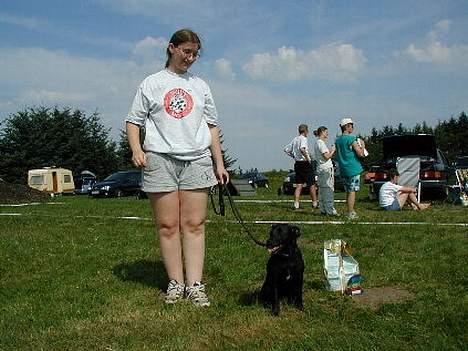 Blanding af racer Bella - første officielle AG konkurrence.  Vi vandt klasse 1 billede 3