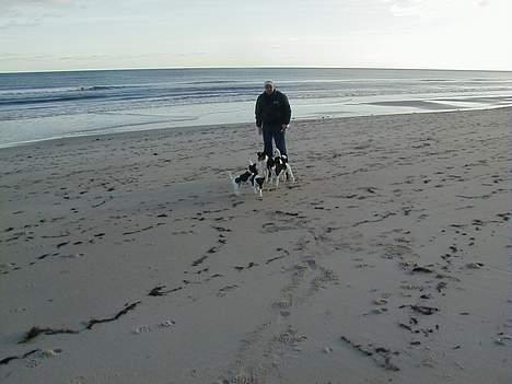 Glathåret foxterrier Jema-Spot Arnold - Jema-spot Arnod og familie billede 6