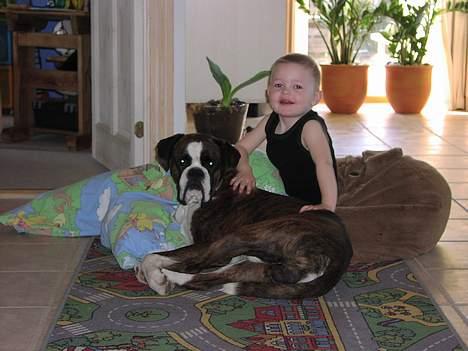 Boxer victor (viggo) - så er der morgenhygge.......... billede 7