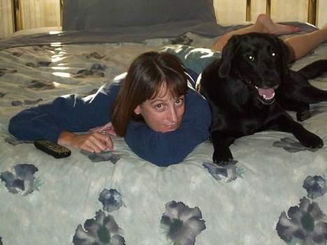 Labrador retriever Sophie - Mig og Sophie billede 2