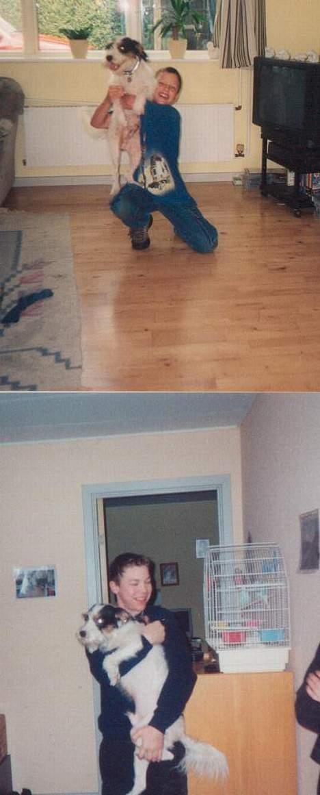 Blanding af racer Rollo - han leger med min storebror billede 9