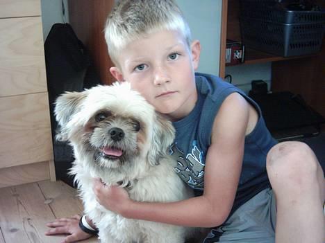 Lhasa apso Ozzy - Ozzy og jeg..  billede 2