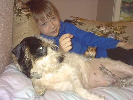 Blanding af racer Rollo - Her er Rollo sammen med Min hamster Sqaush og Mig. billede 4