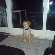 Blanding af racer Bertha