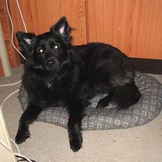 Blanding af racer Laura *R.I.P.*